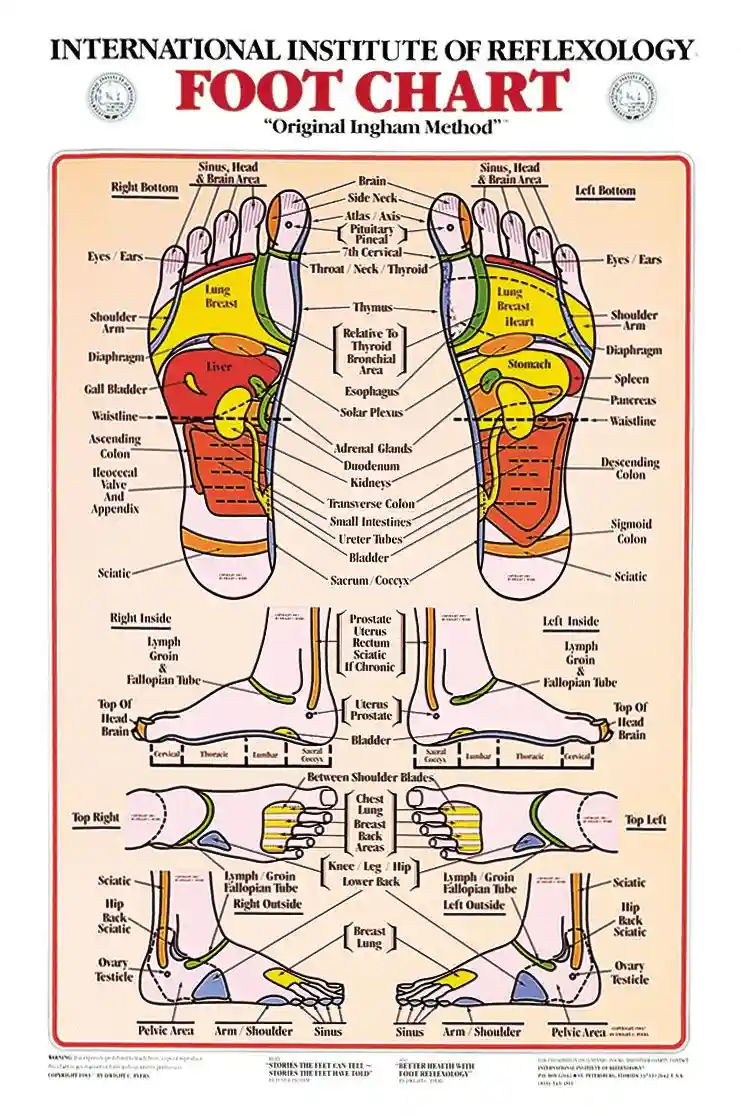 foot chart