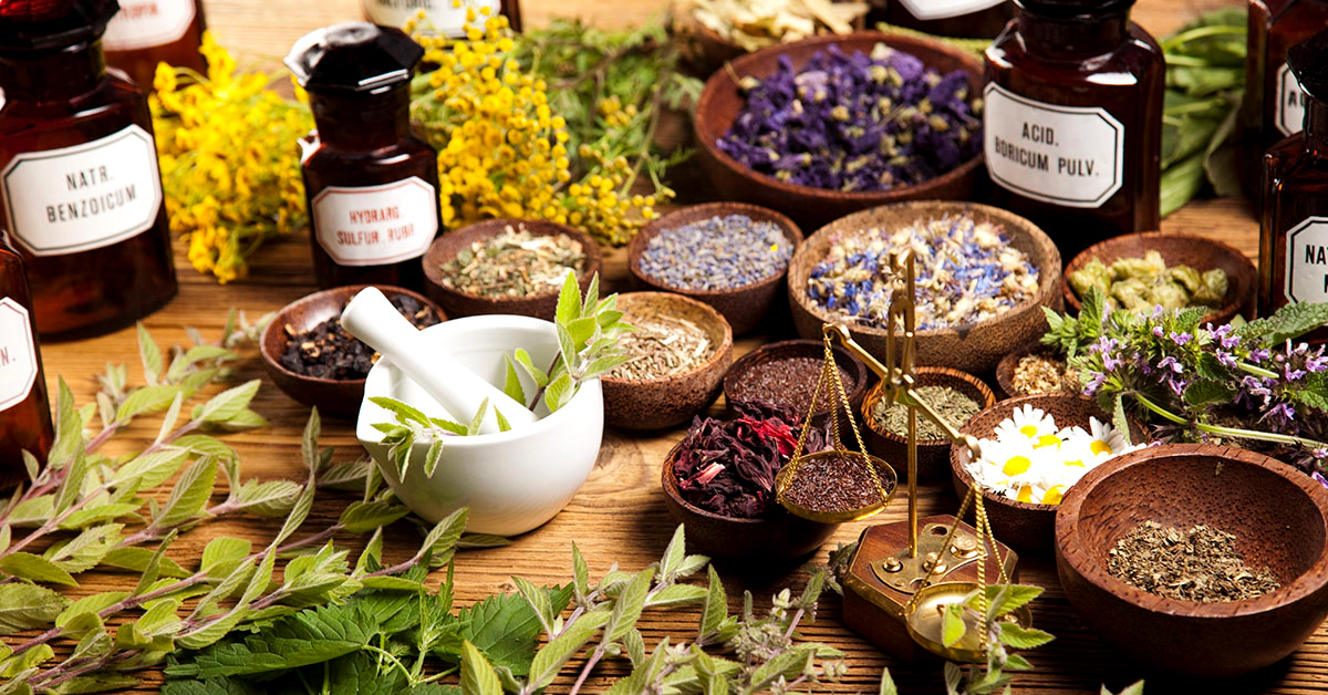 herbalism image