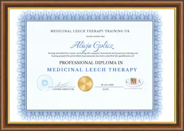 hirudotherapy certification large