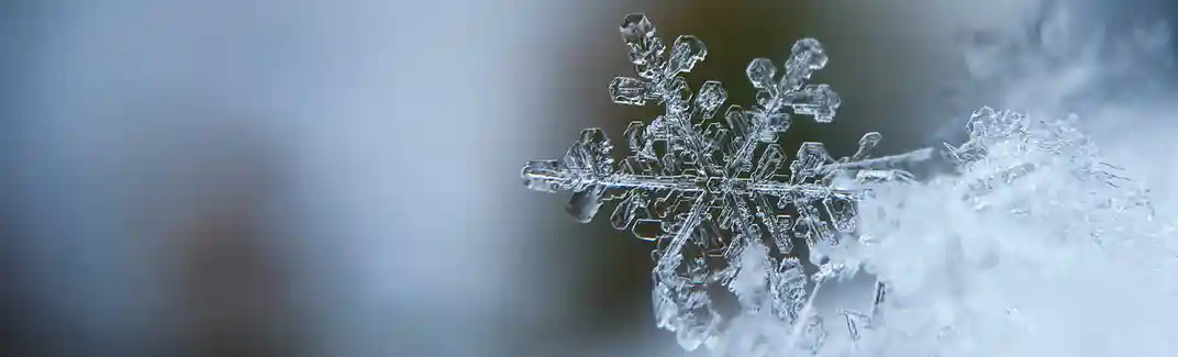 Spring vitamin injections